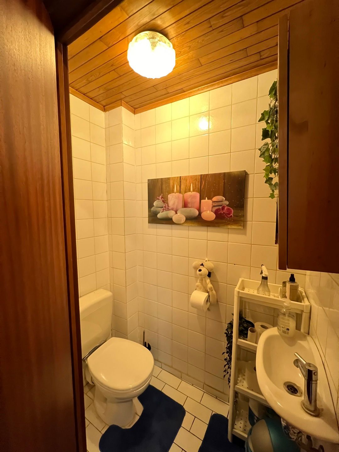 Leuke woning met mogelijke winkelruimte in centrum foto 11