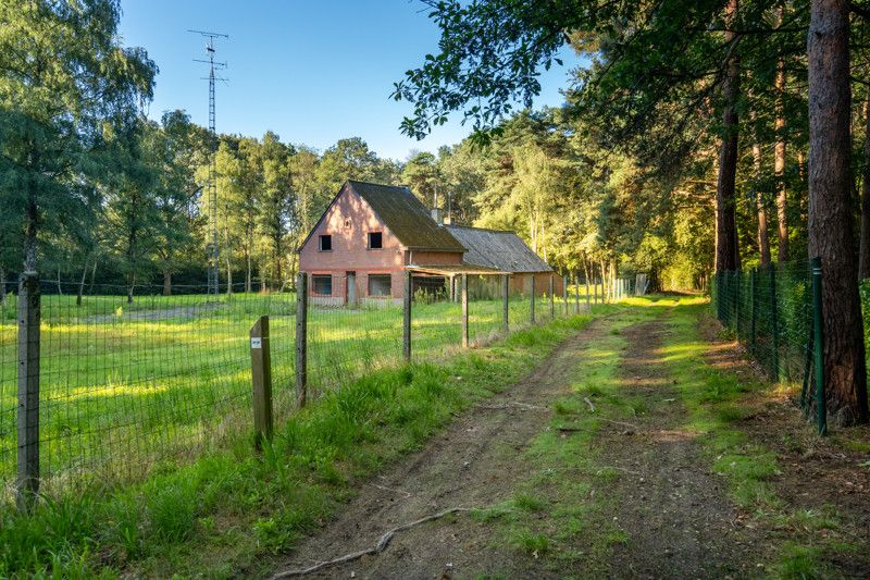 Uniek gelegen renovatieproject op 1,8 ha foto 22