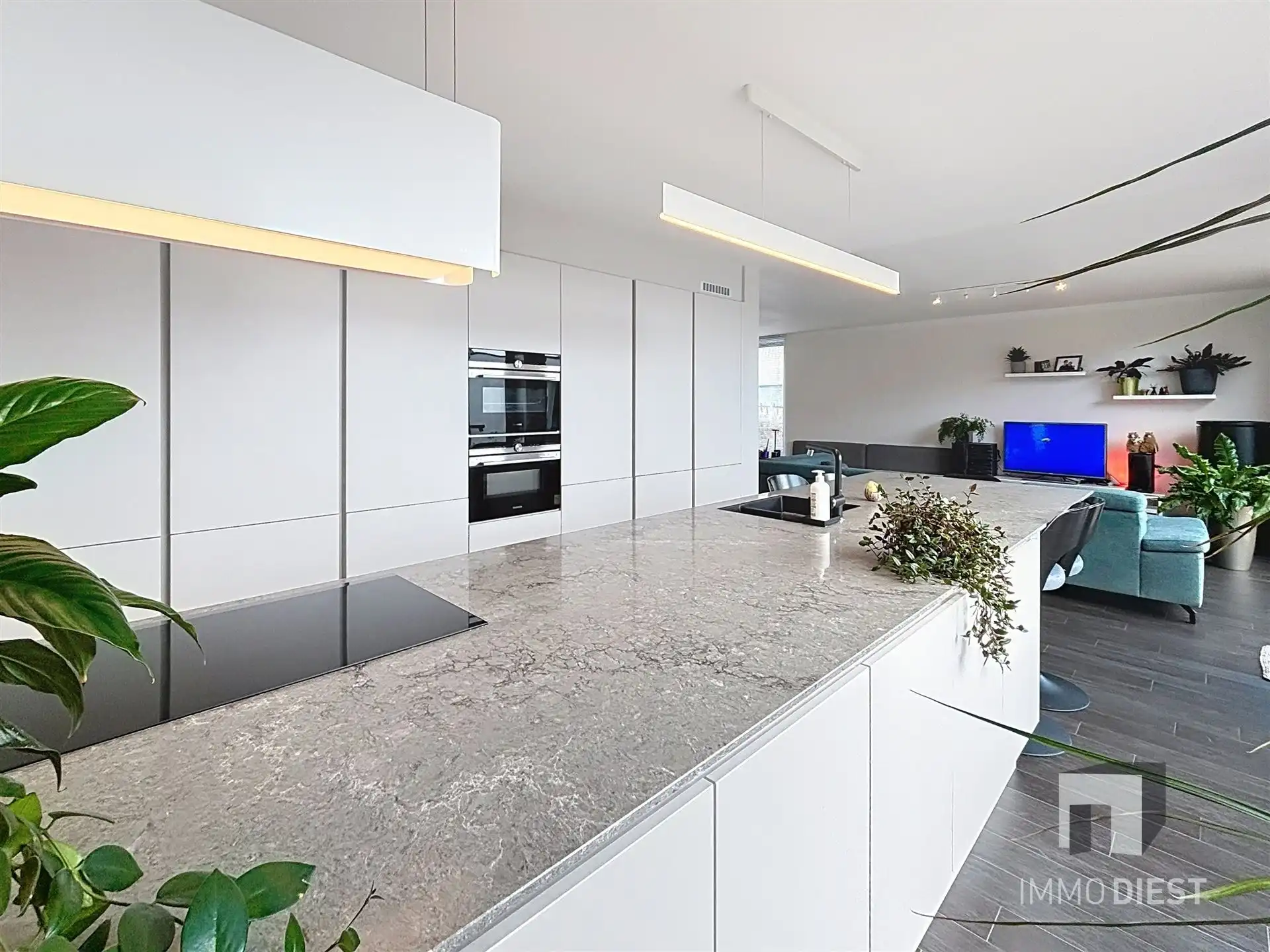 Villa met tiny house op 13are foto 10