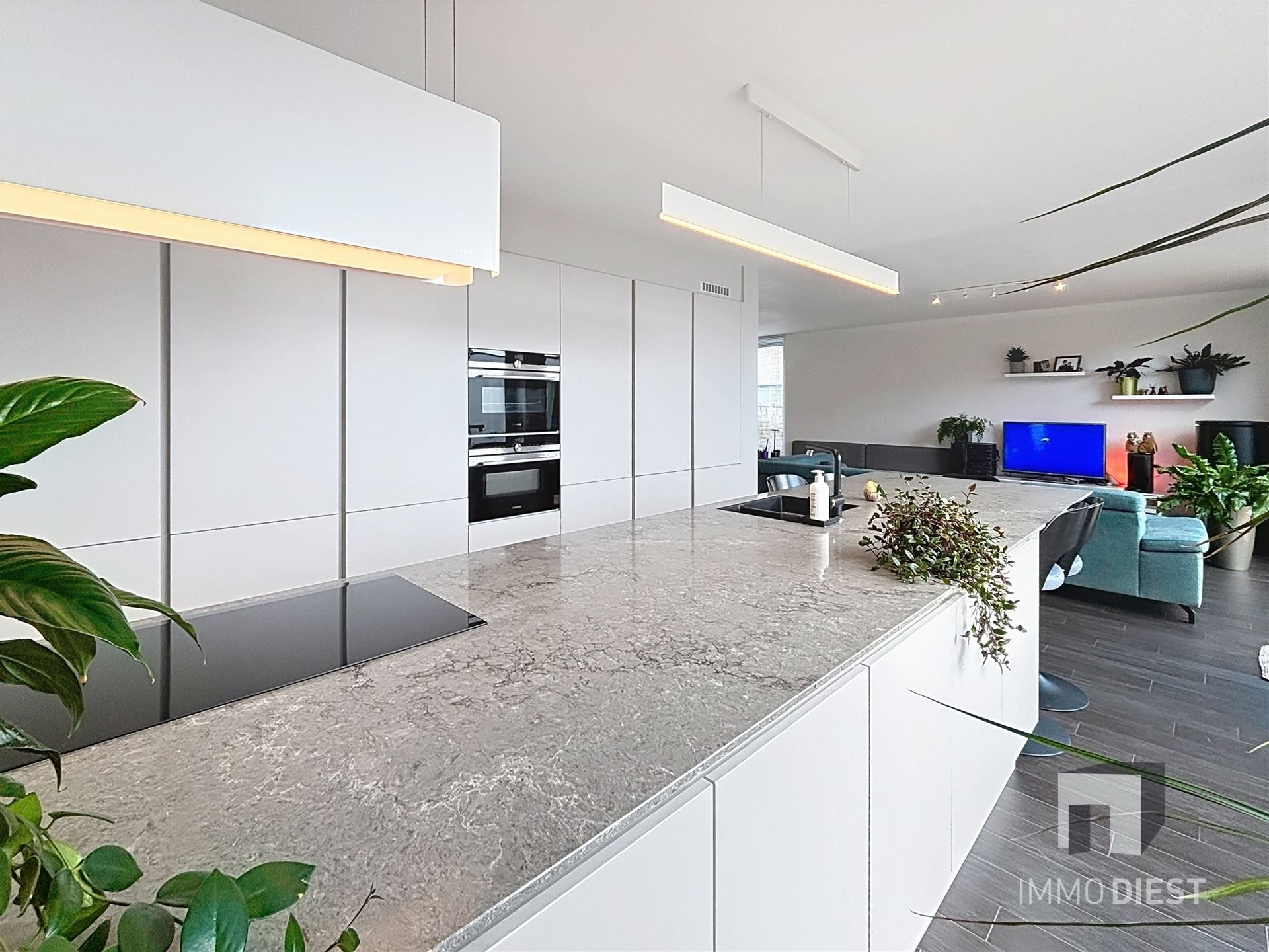 Villa met tiny house op 9,5are foto 10