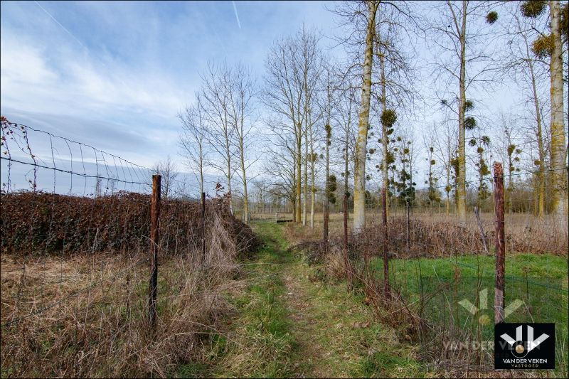 11,5 hectaren landbouwgrond foto 7