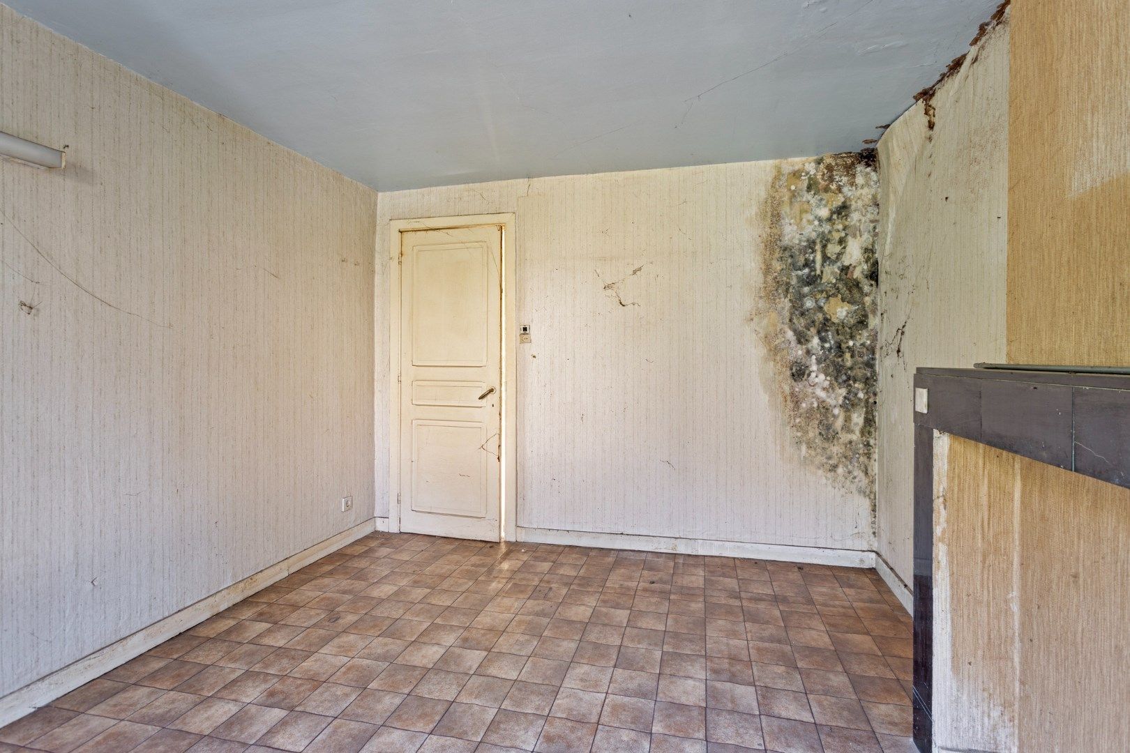 Uniek project: te renoveren woning op een perceel van bijna 1 hectare in Kessel-Lo. foto 20