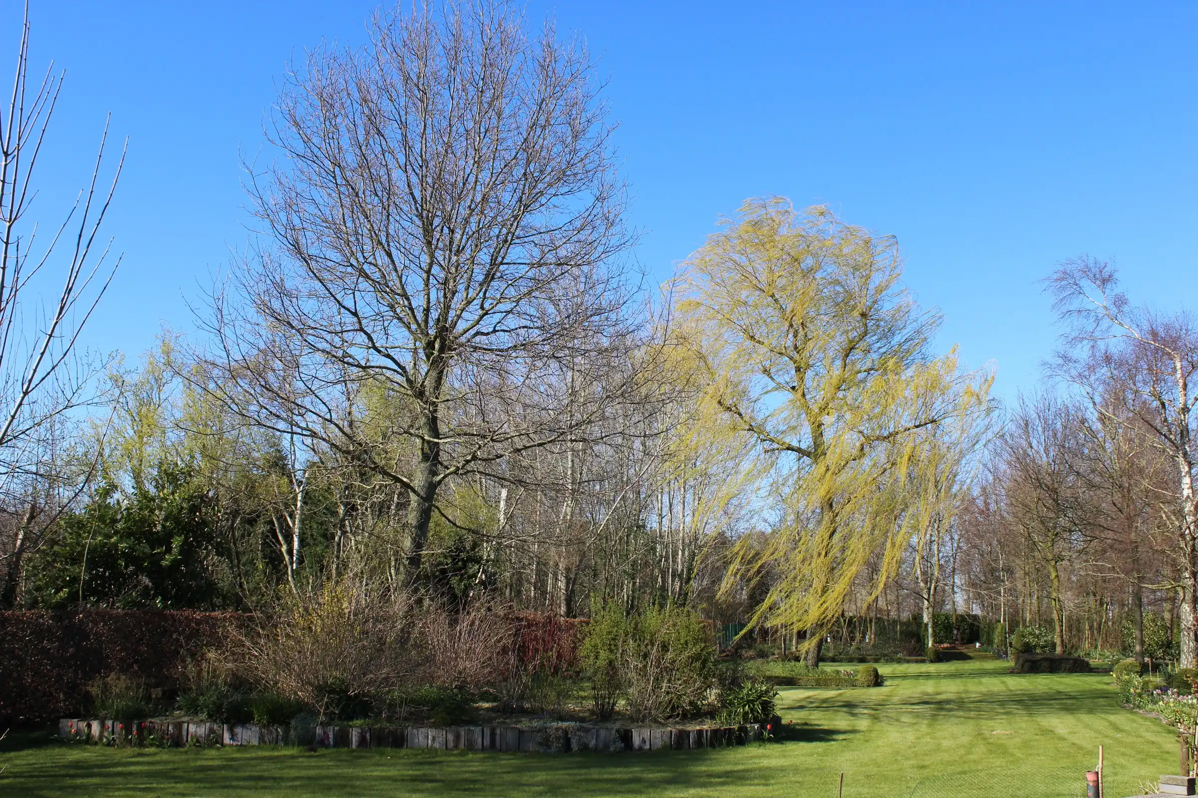 Exclusief wonen in een oase van rust ! foto {{pictureIndex}}