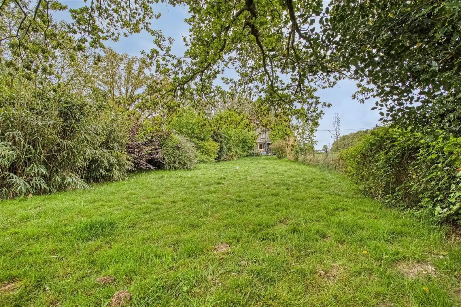 Woning met grote tuin te Dworp foto 3