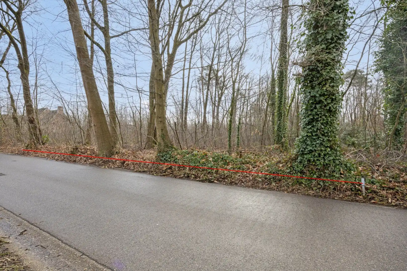 2 BOUWGRONDEN VOOR OPEN BEBOUWING EN ACHTERLIGGENDE GRONDEN in de bosrijke villabuurt op de Bosstraat te Lanaken!  foto 4