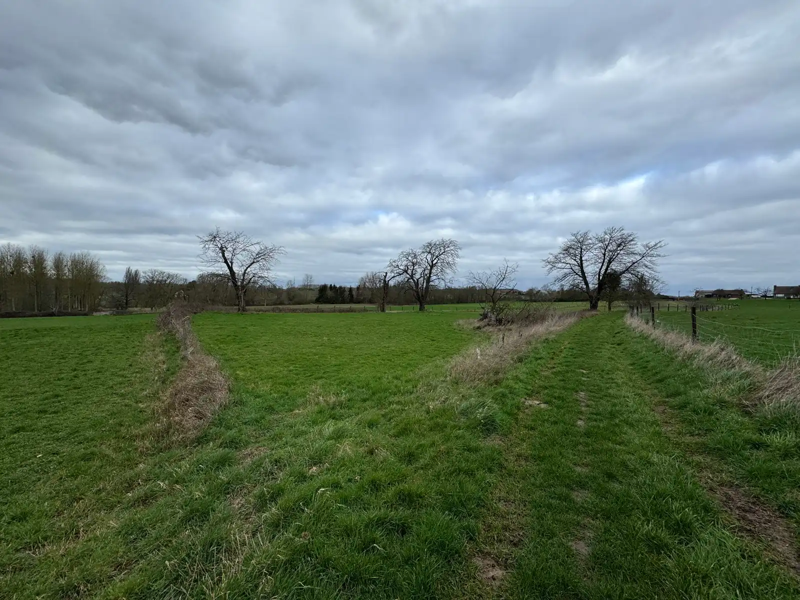 Perceel landbouwgrond van 62a 32ca foto 4