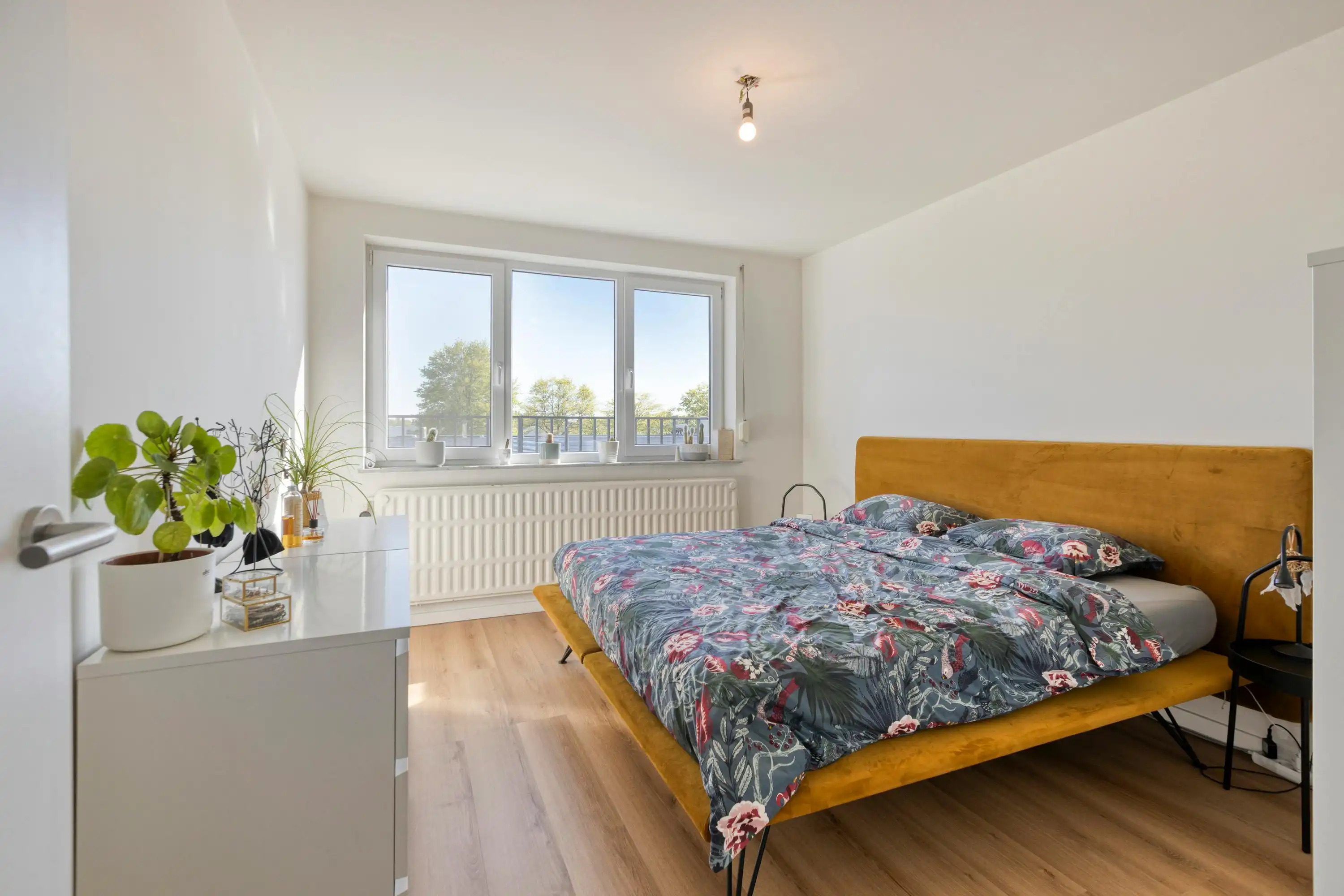 2-slaapkamer appartement met zuidgericht terras in Hasselt foto 8