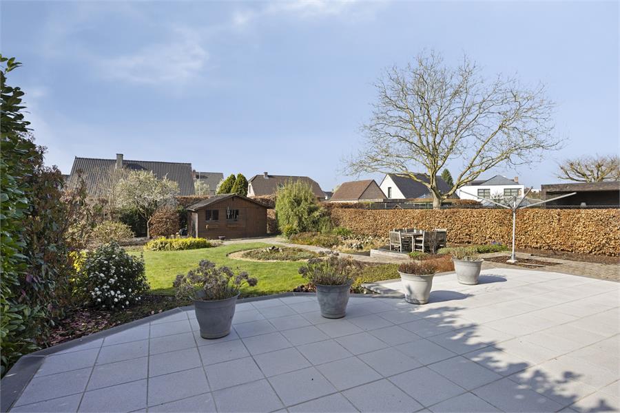 Huis te koop in Tessenderlo-Ham foto 17
