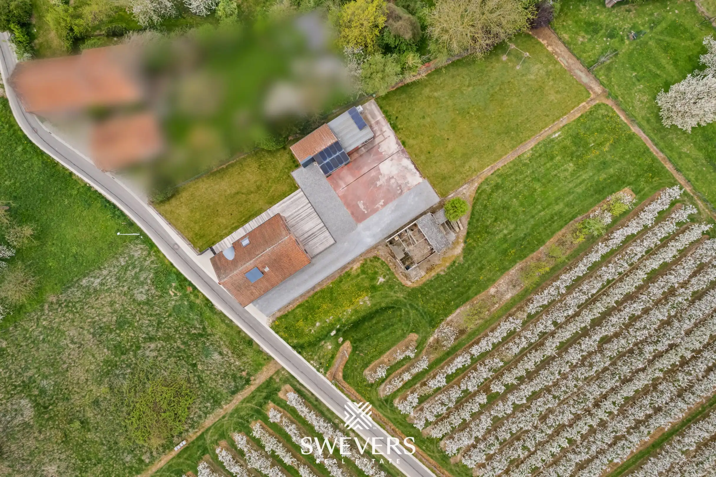 Instapklare open bebouwing met ruime tuin en prachtig uitzicht tussen de boomgaarden in Gingelom foto 39