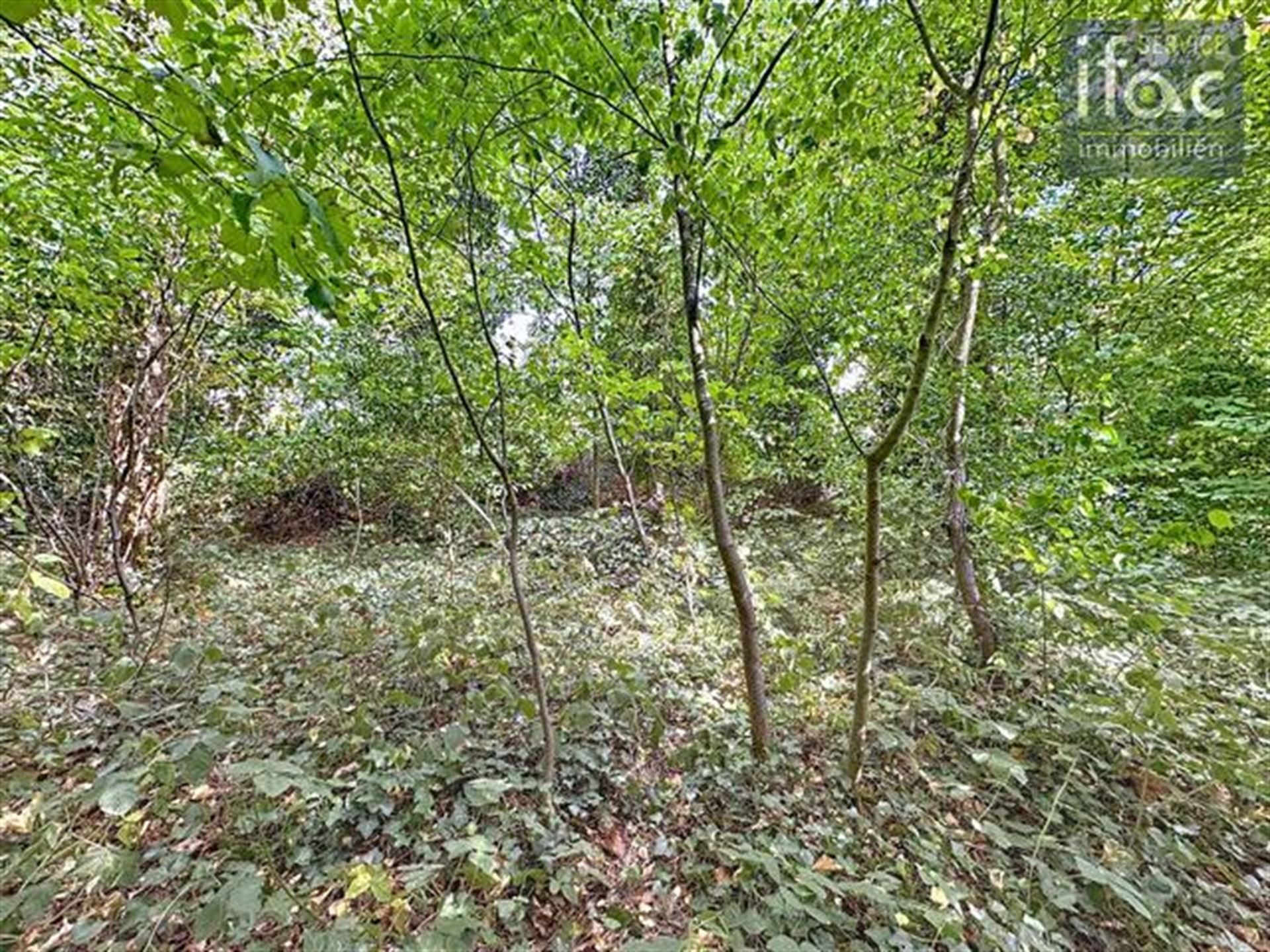 Gunstig gelegen bouwgrond vlakbij Brussel 8a42 foto 7