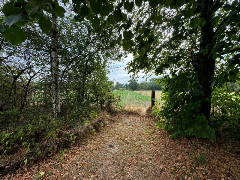 Ruime langgevelhoeve op 29a13 met veel potentieel! foto 24