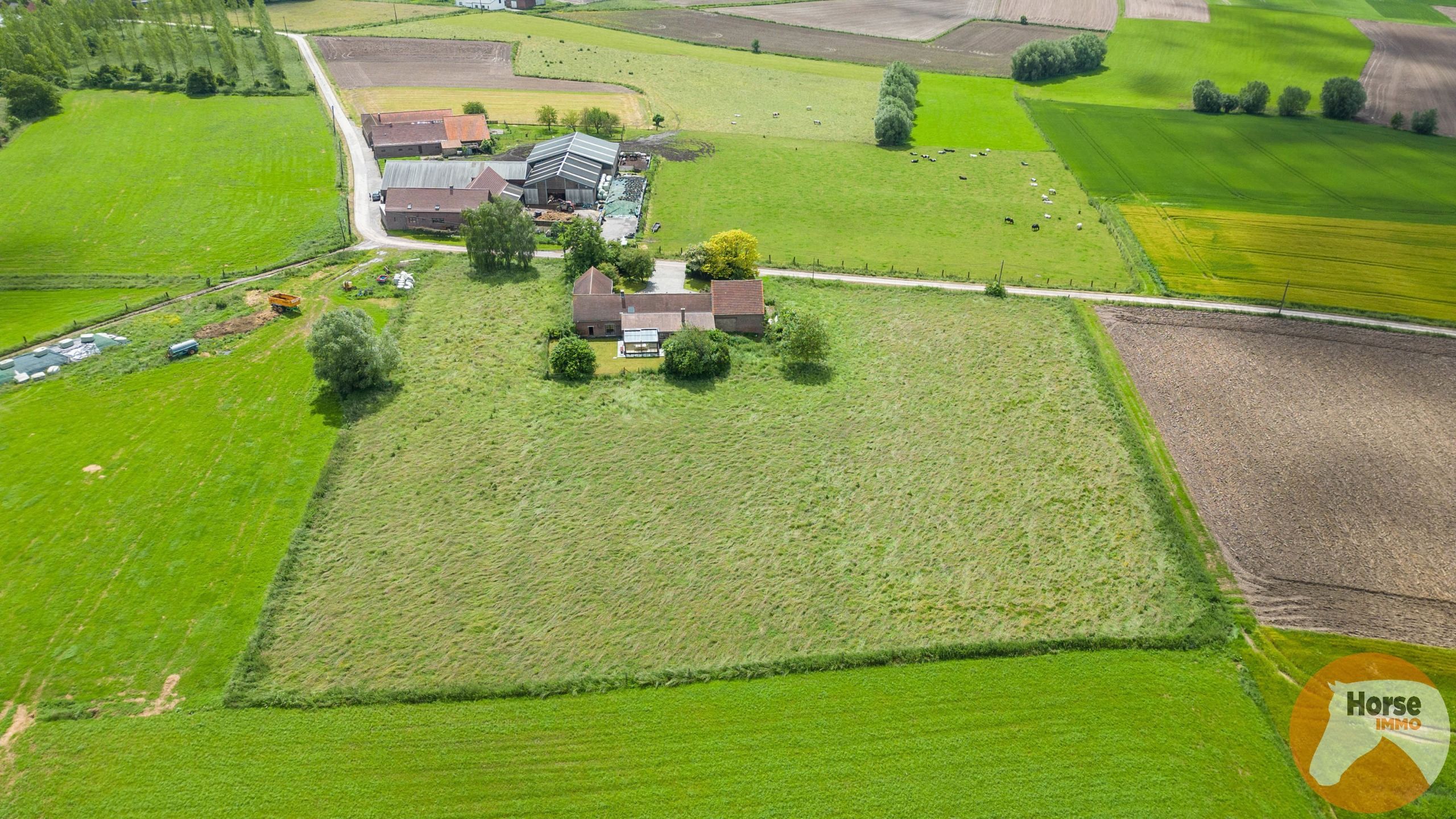 Uniek gelegen hoeve met veel mogelijkheden. foto 7