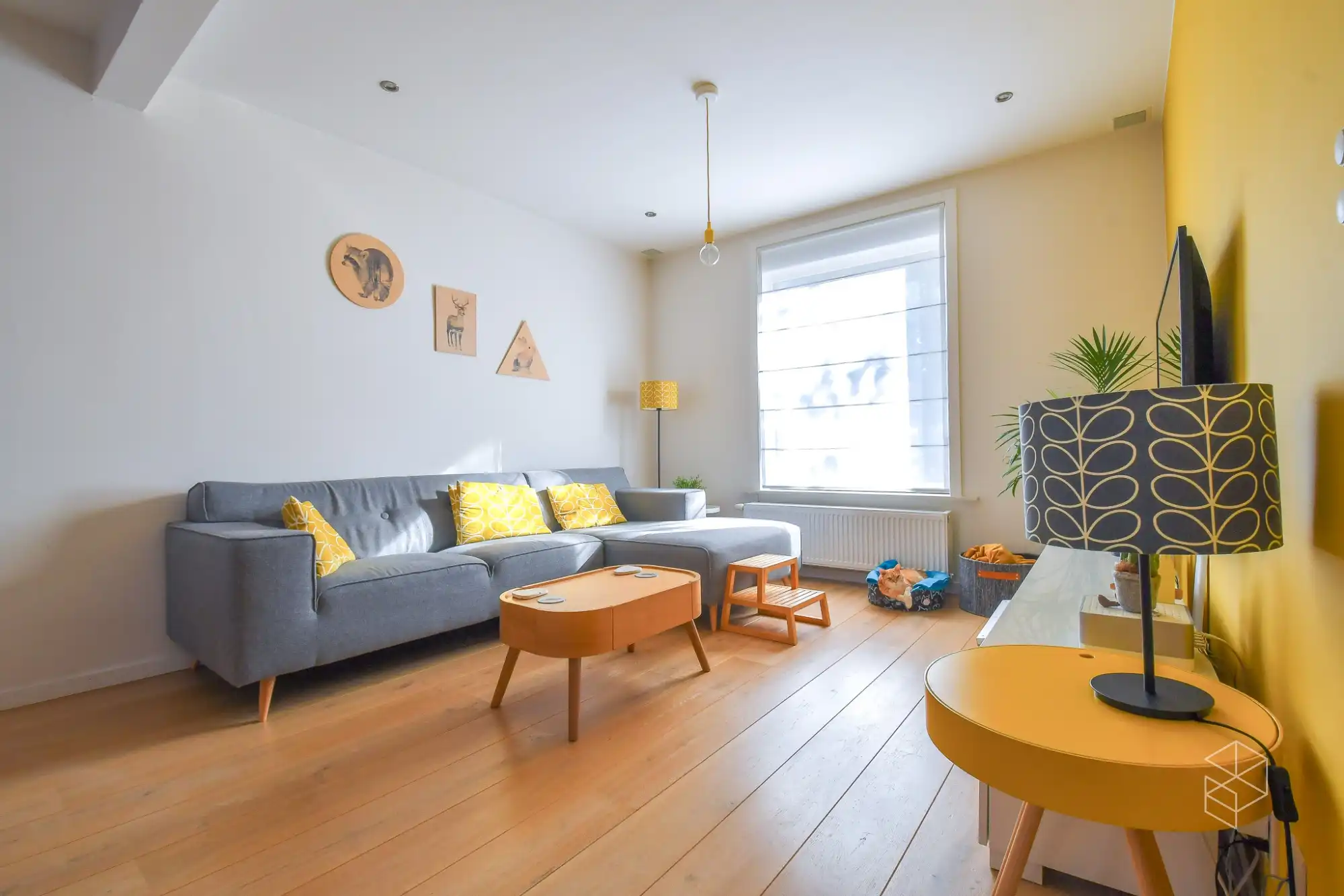 Mooie ruime instapklare woning met 2 slpk ( 3 slpks mogelijk) en koer foto 3