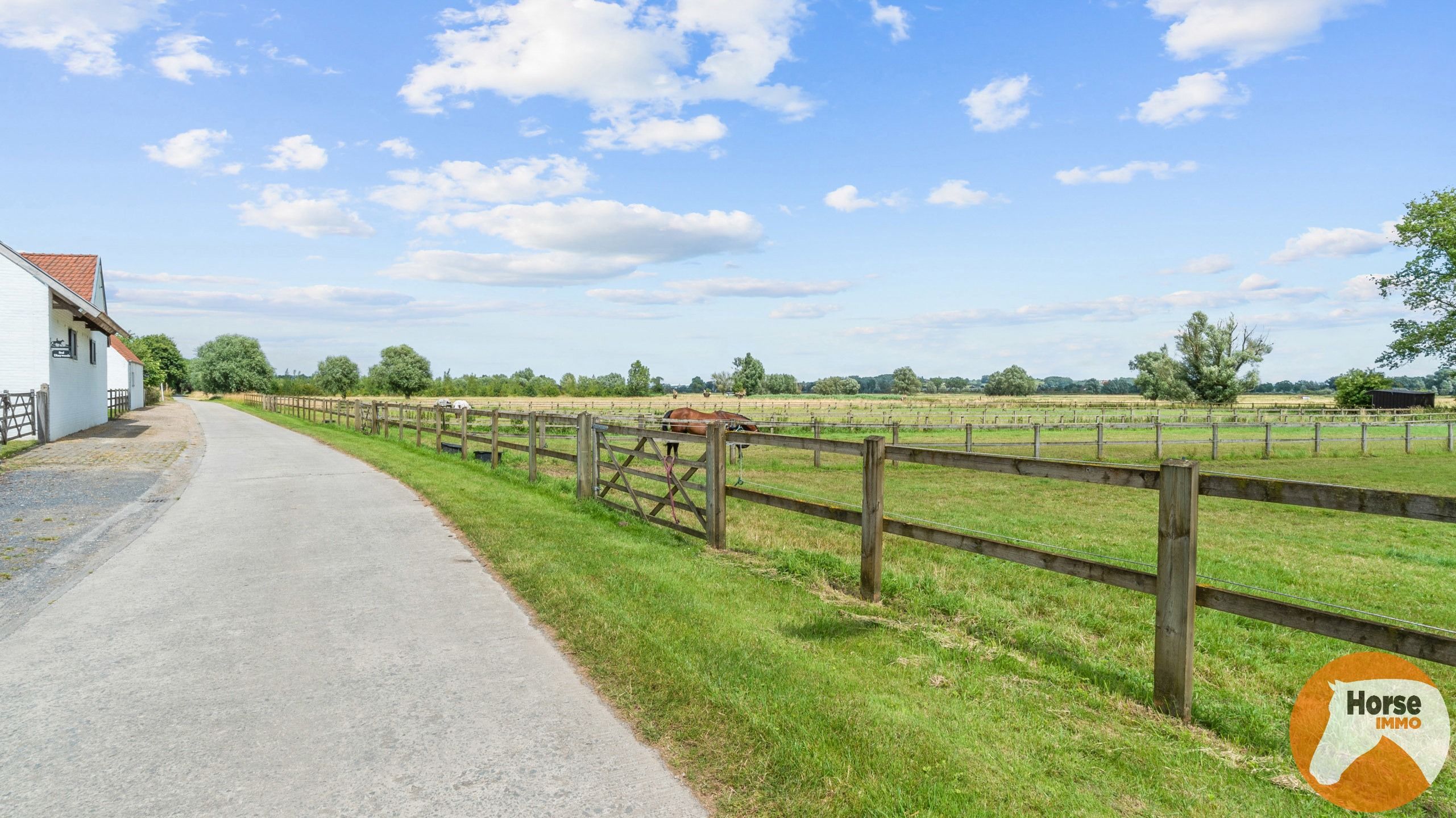 WORTEGEM-PETEGEM - Woning met bijgebouw, paardenaccomodatie foto 60