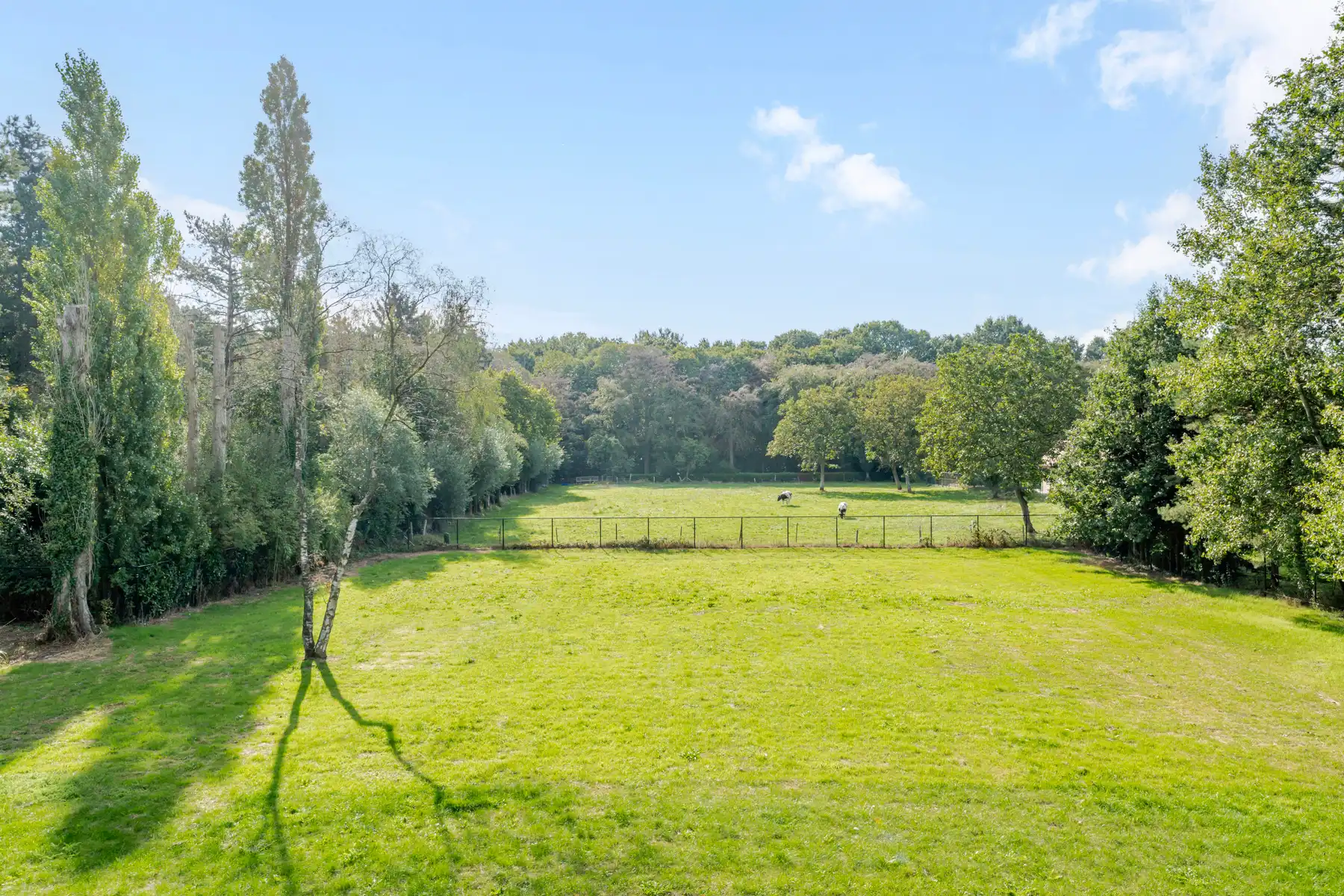 Gerenoveerde villa in een groene omgeving nabij alle invalswegen foto 31