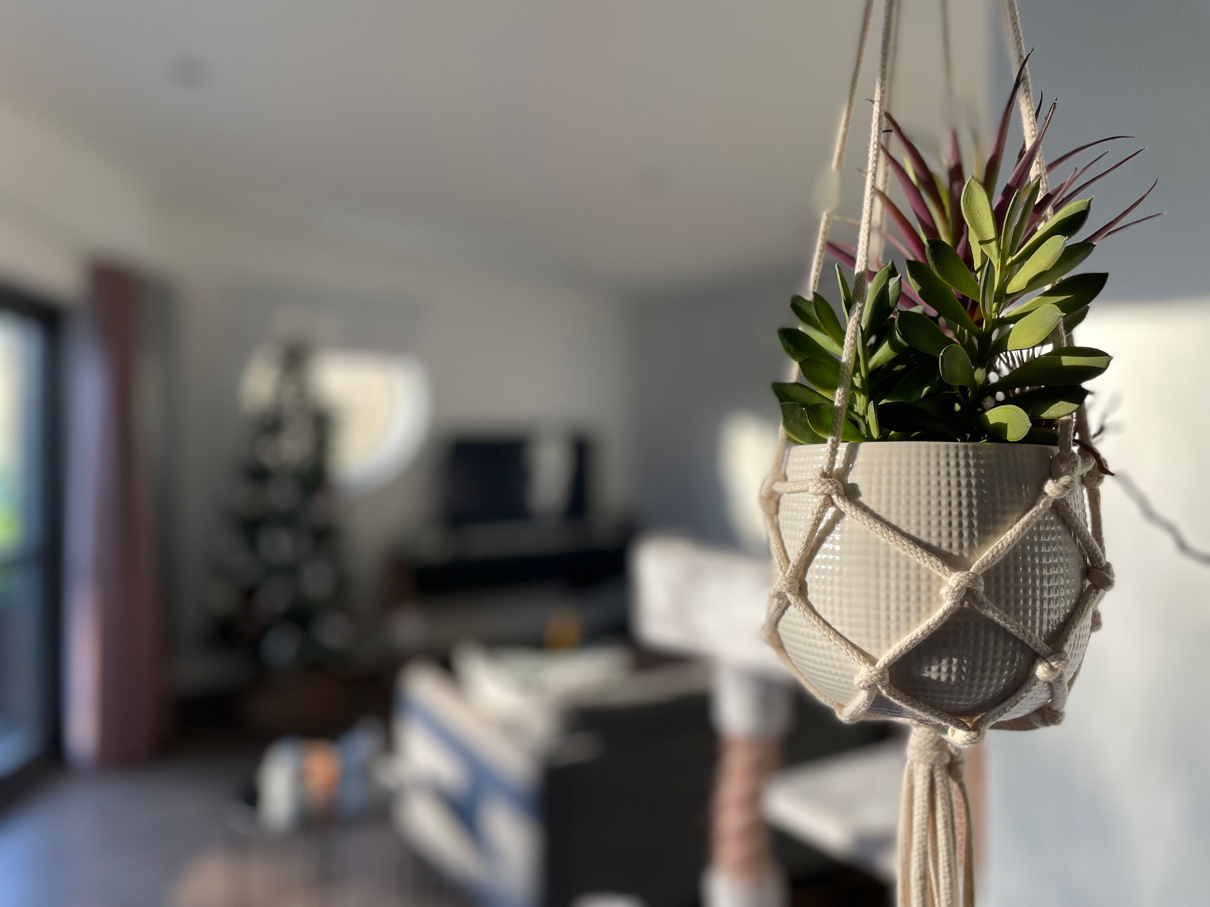 Fantastische en super gezellige stadswoning volledig instapklaar foto 9