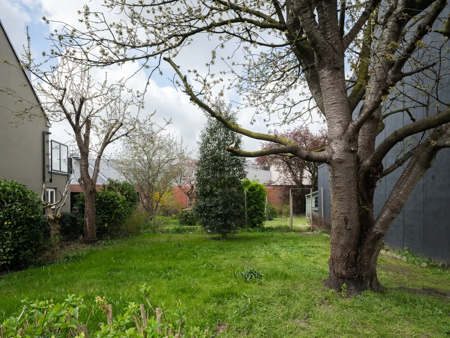 Bouwgrond met potentieel in het charmante Wondelgem foto {{pictureIndex}}