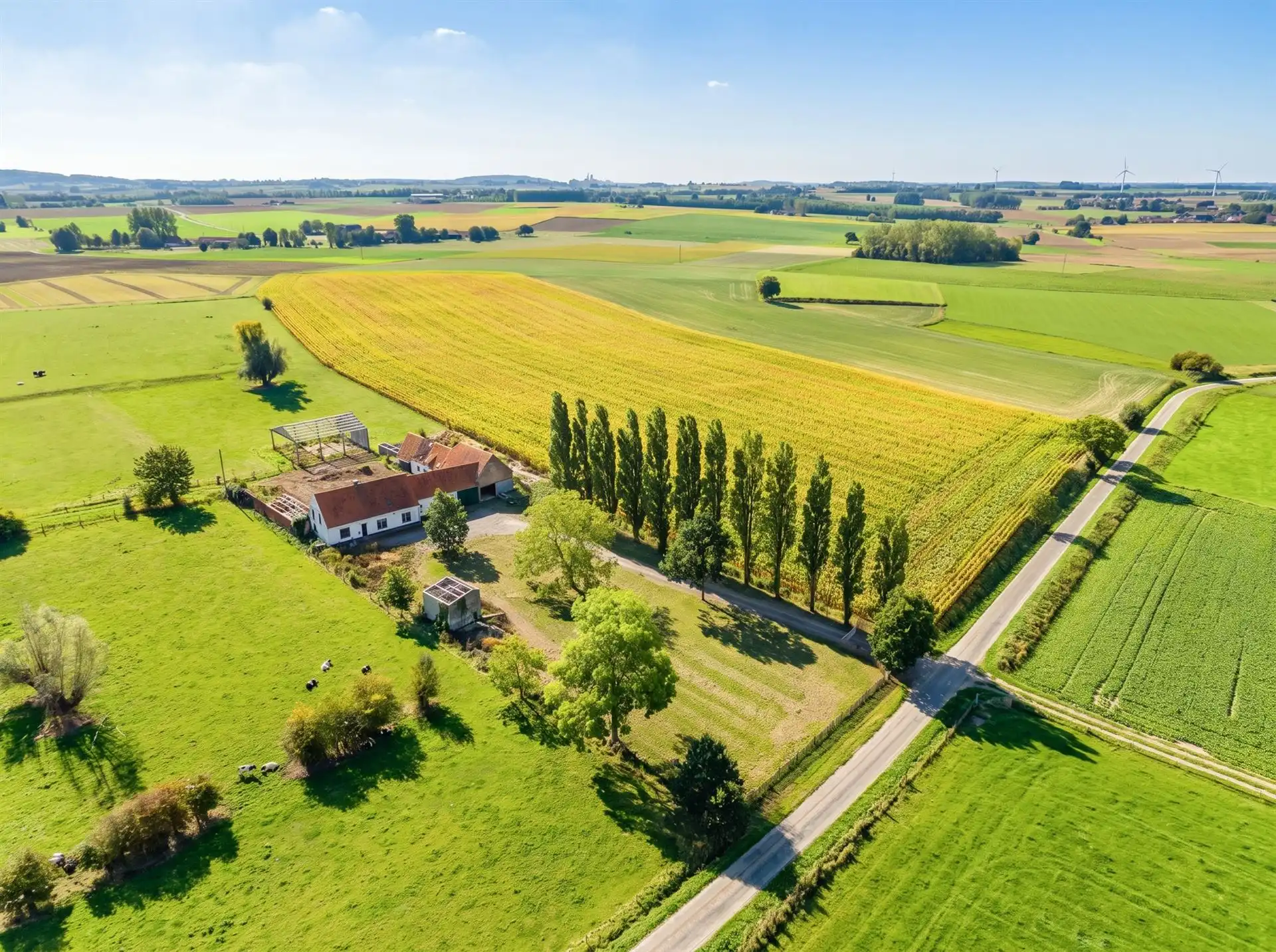 Hoofdfoto van de publicatie: Uniek gelegen (af te breken) hoeve op maar liefst 8.282 m²
