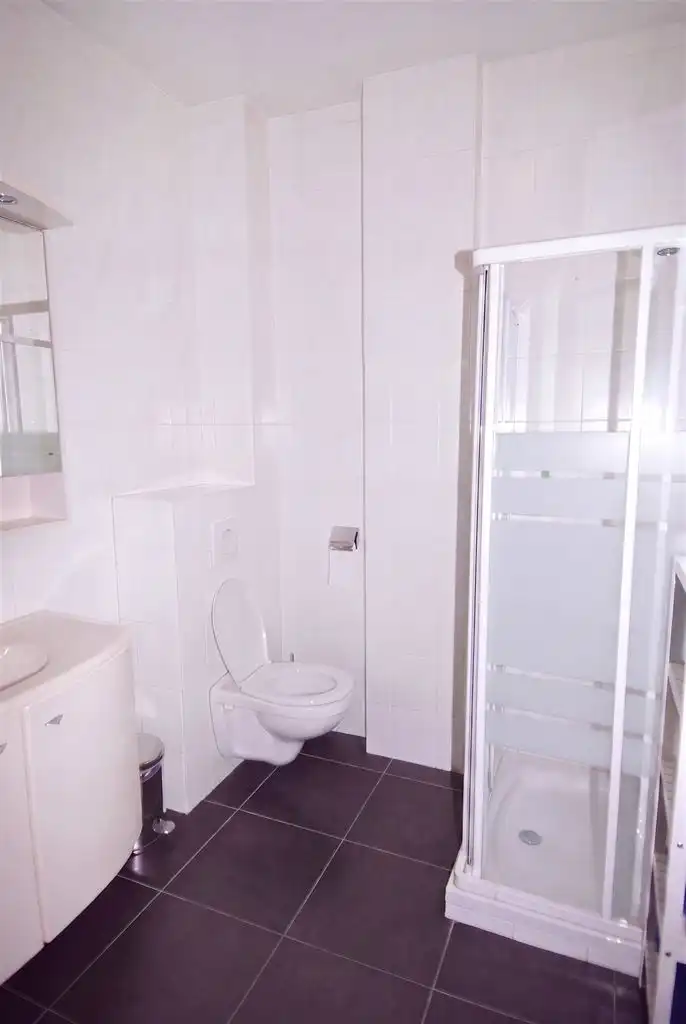 Gezellig appartement met 2 slaapkamers en kelderberging, gelegen vlakbij de Markt van Maaseik. foto 7