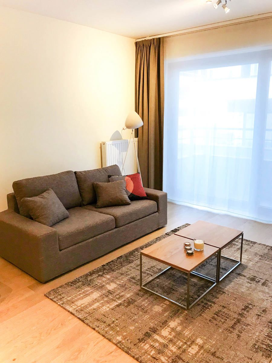 LICHTRIJK - Gemeubeld appartement met 2 slaapkamers (NAVO) foto 4