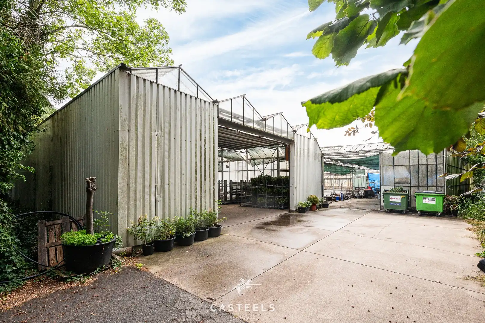 Serre op agrarische grond met logistieke toegangsweg foto 7