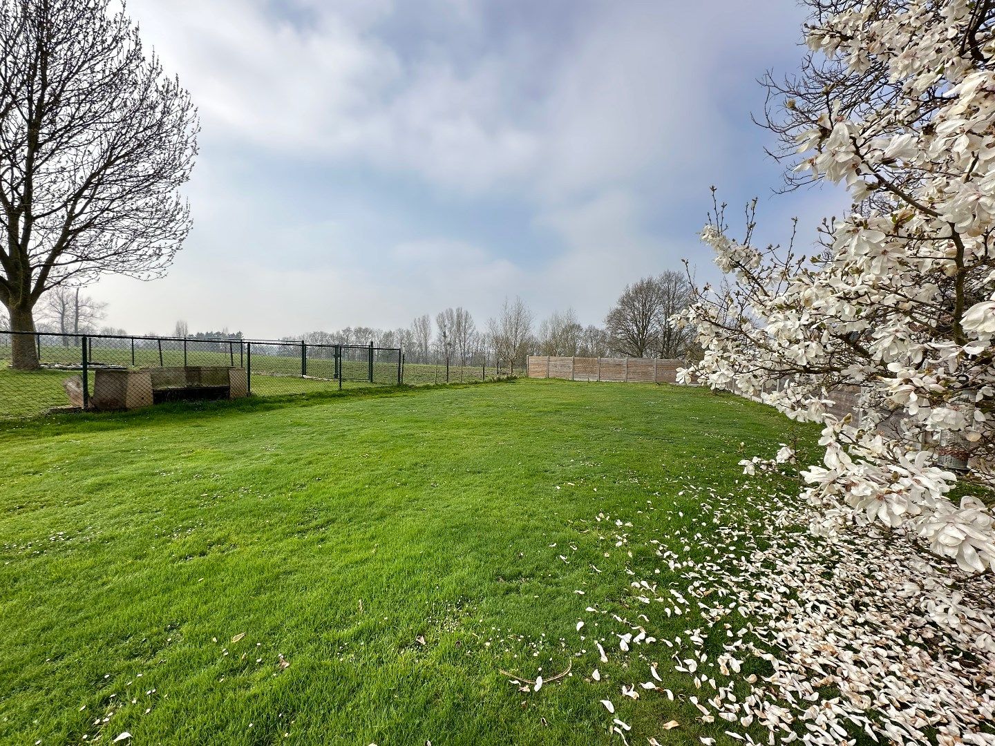 Mooie open bebouwing met tuin, terras, garage en 3 slaapkamers in Vliermaal foto 19