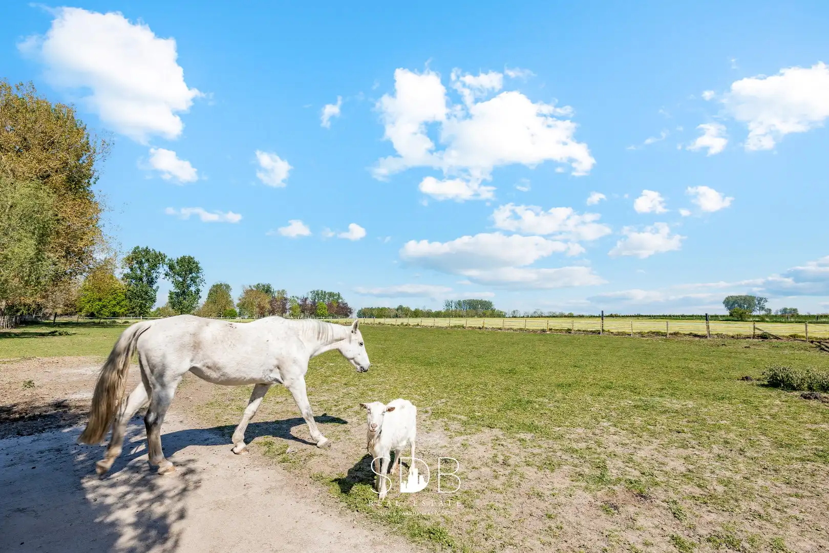Prachtige stijlvolle woning met bijgebouwen, buitenpiste en graslanden  foto 41