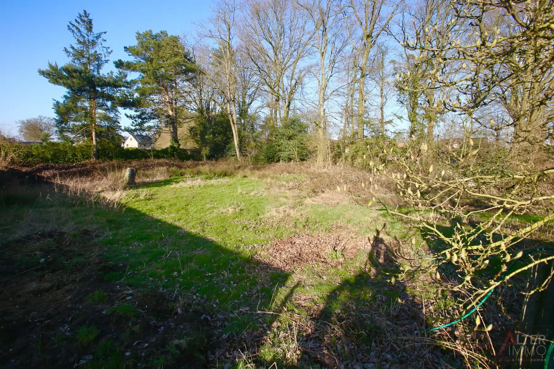 Opportuniteit! Gelijkvloerse woning met 3 slaapkamers op een groot en breed perceel (30 m) van 25a 65ca - EPC makkelijk te verbeteren! foto 25