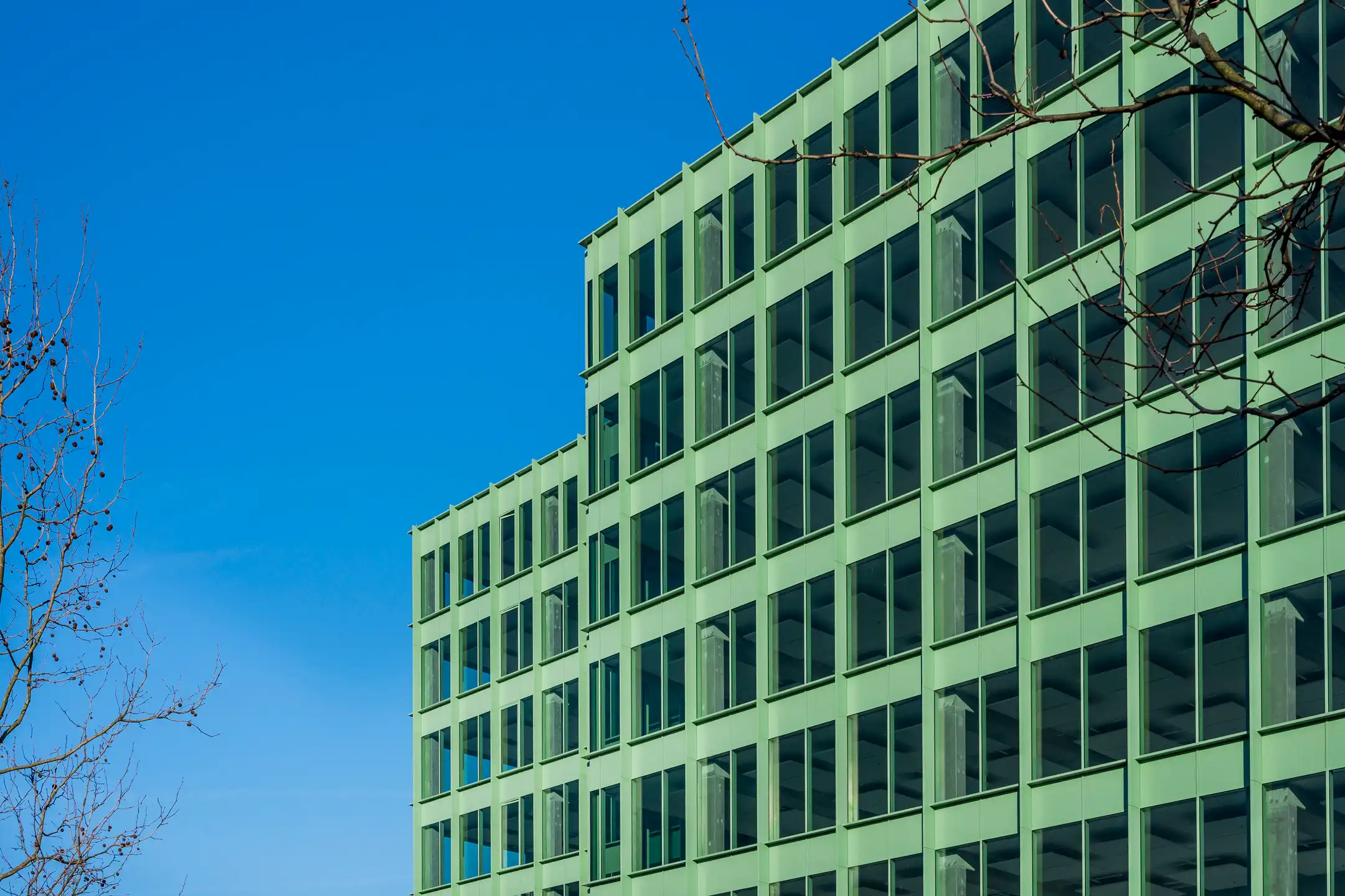 Nieuwe commerciële/kantoor glv  ruimtes te huur in INFÍNITI foto 4