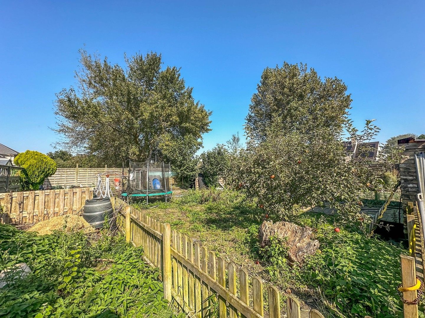 Grote loods (+/- 200m²) met te renoveren woning. foto 16