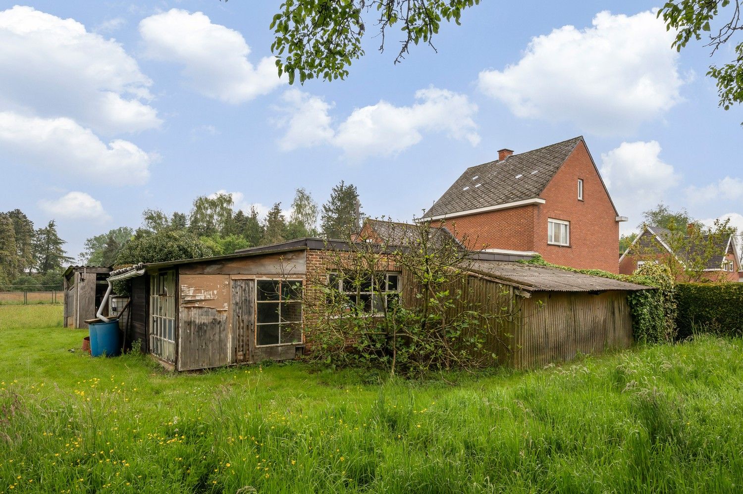 Rustig gelegen op te frissen ruime woning op 5225 m² foto 28