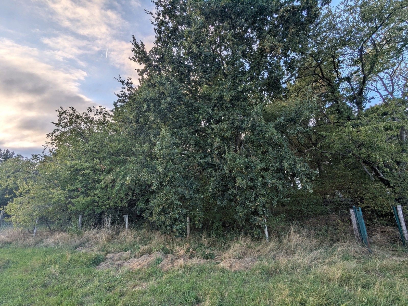 Grote hoeve A label met opslagplaats op perceel 3550m² foto 32