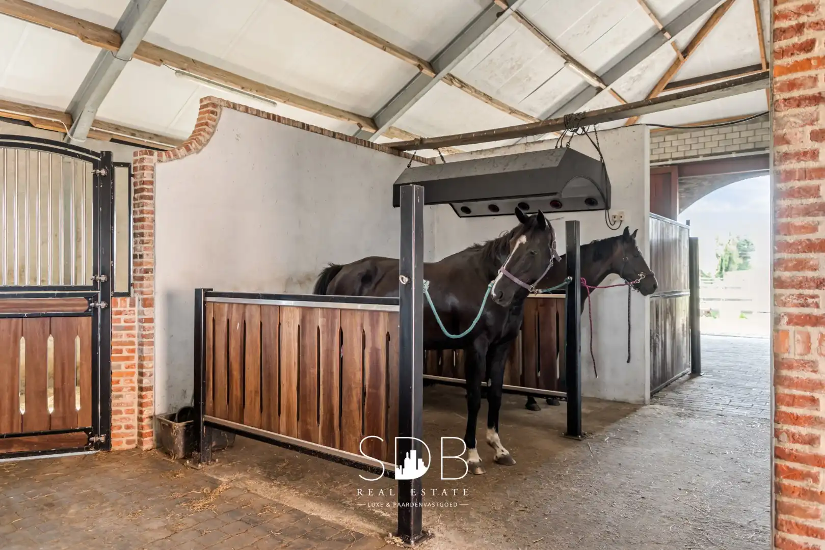 Prachtige landelijke woning met hippische accommodatie op 2,5hectare foto 29