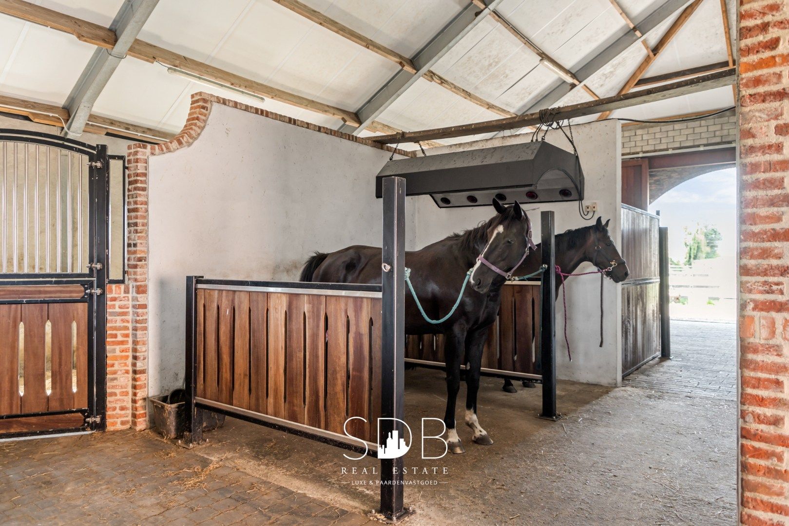 Prachtige landelijke woning met hippische accommodatie op 2,5hectare foto 29