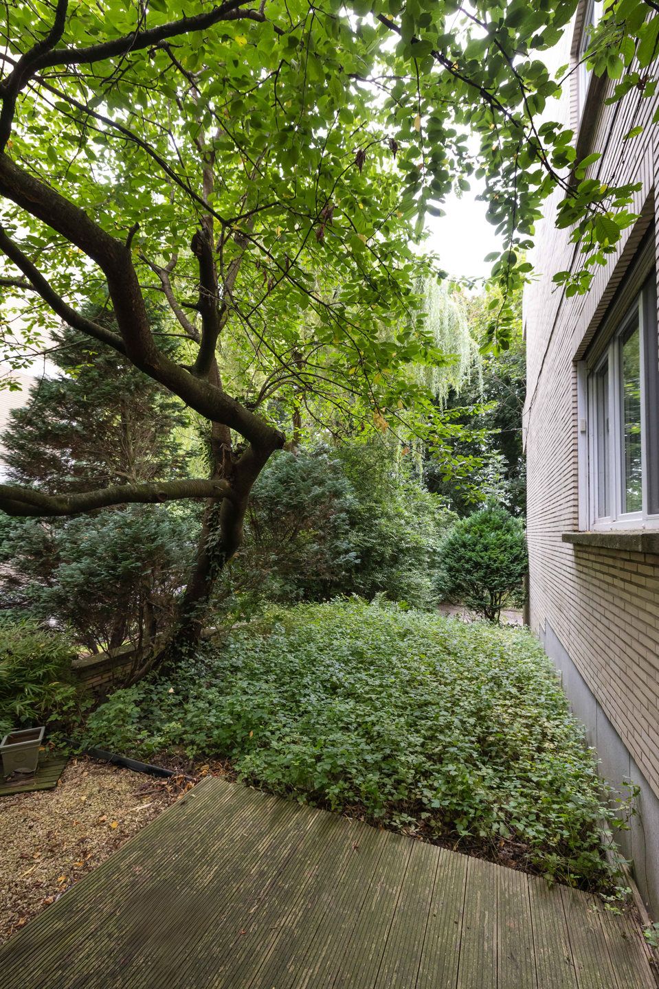 Begane grond 3 slaapkamers met tuin foto 7