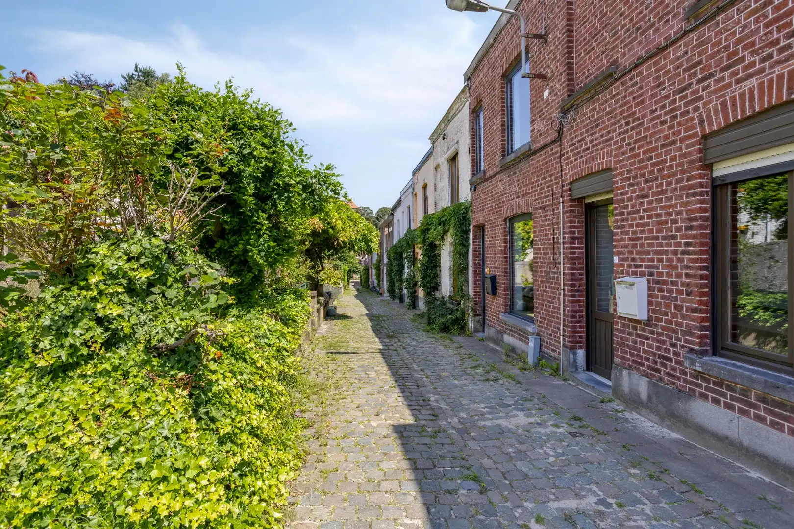 Gezellig huisje met 2 slaapkamers rustig en centraal gelegen te Leuven - 239 KWH/m² foto 2
