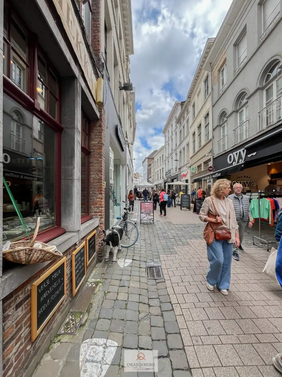 Handelspand in TOP-winkelstraat foto 21