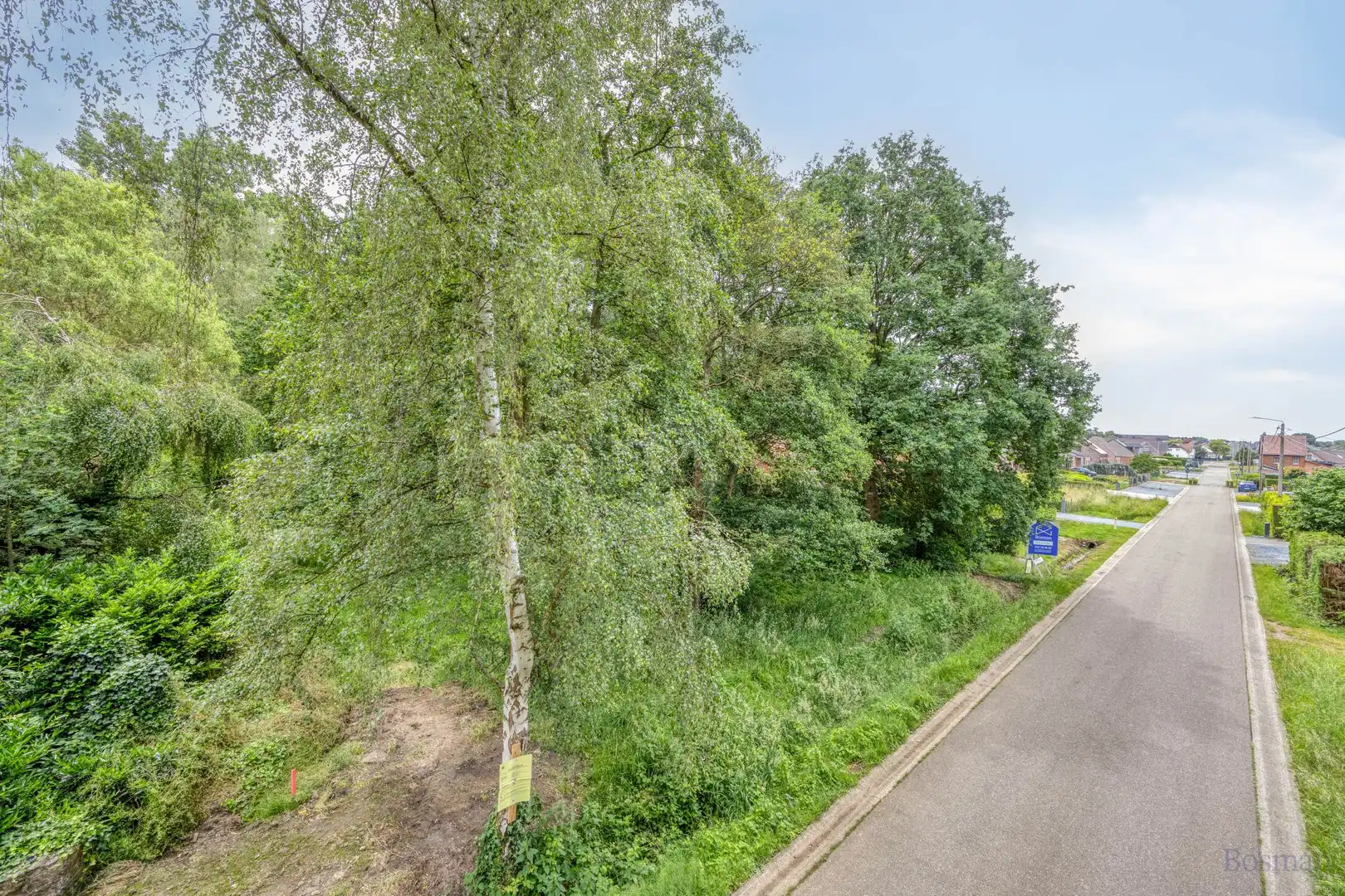 Bouwgrond op 16a 76ca te koop in Tessenderlo-Ham foto 8