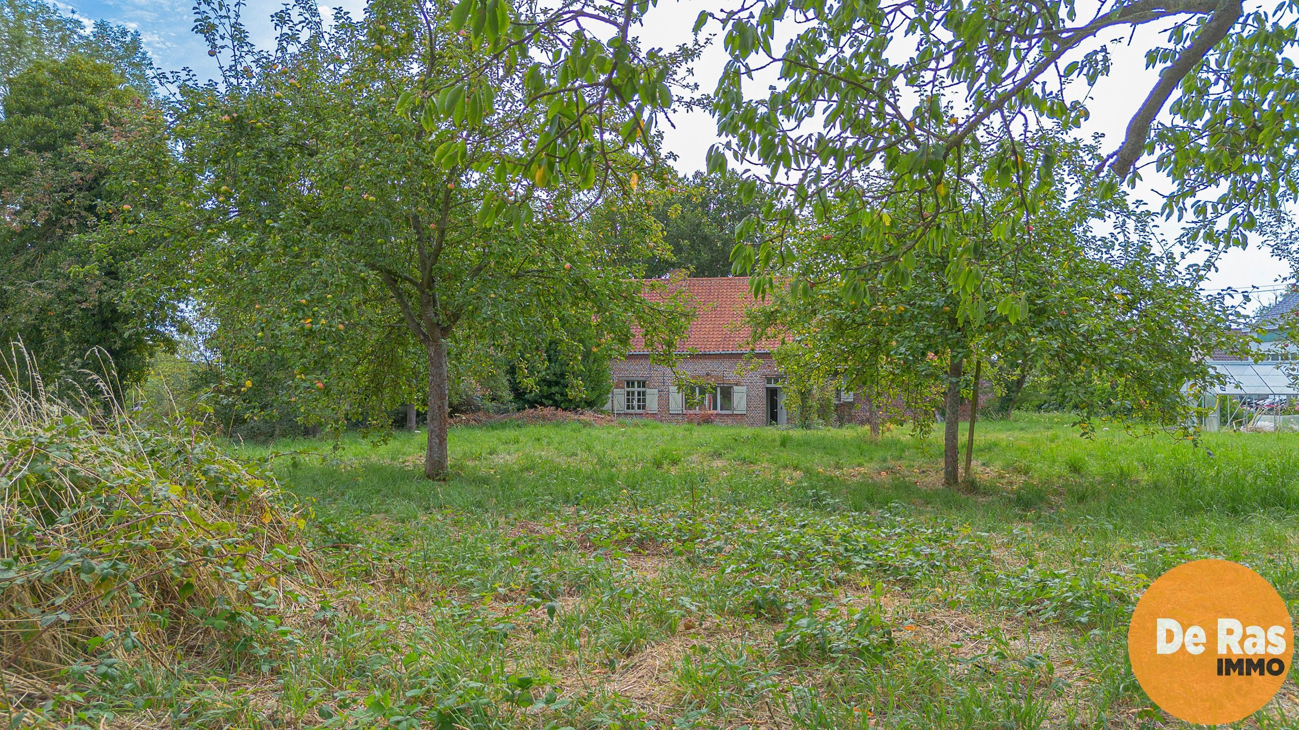 AAIGEM - Prachtige vierkantshoeve foto 14