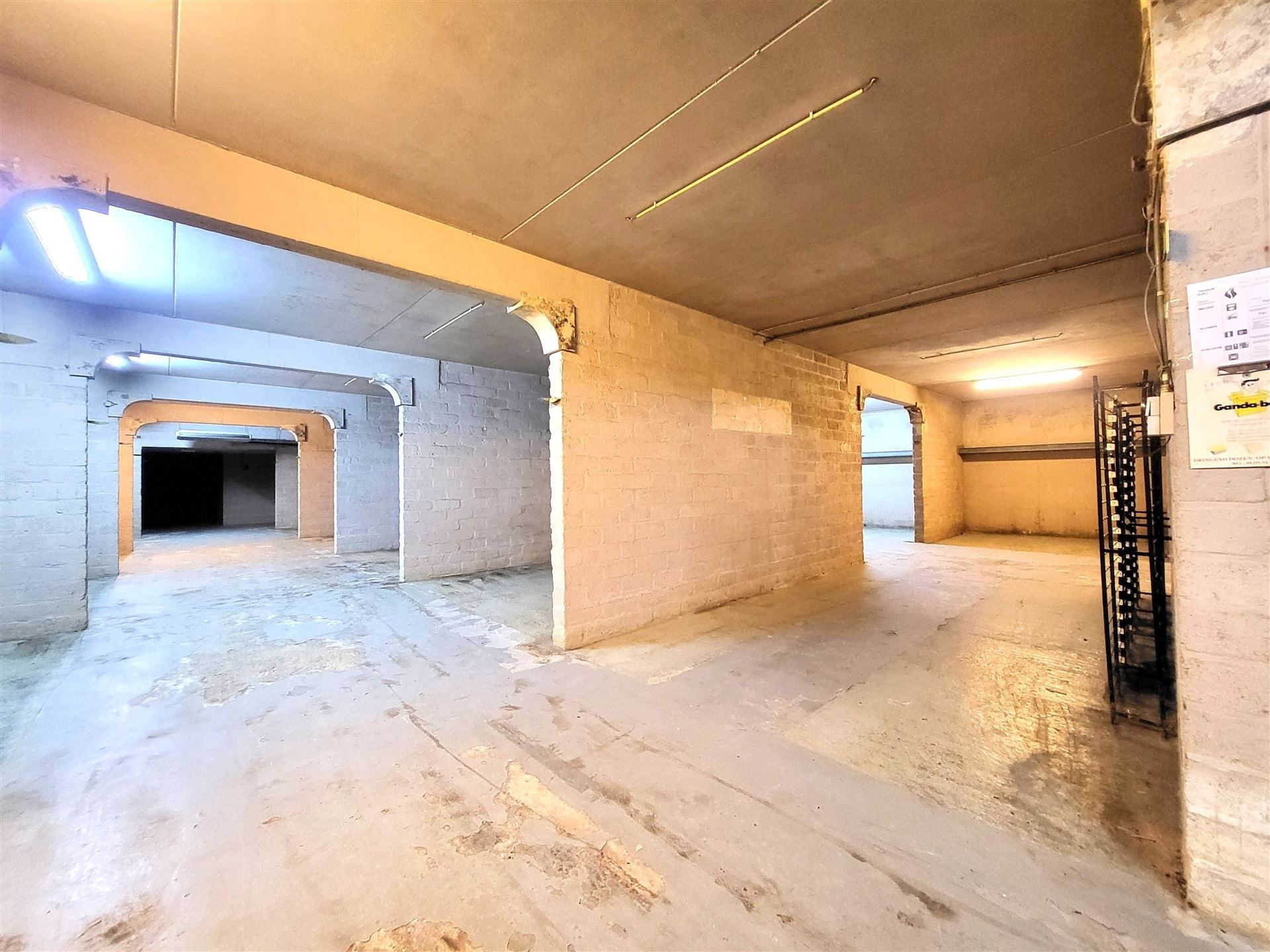 Villa met professionele opslagruimte, kelder en kantoorruimtes. foto 57