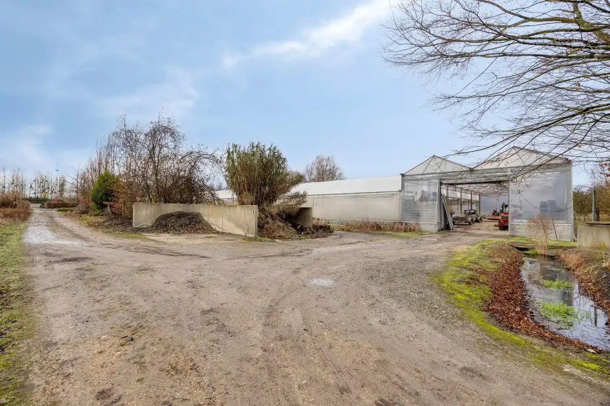 Tuinbouwcentrum met ruime woning op een perceel van 4,26 hectare foto 13