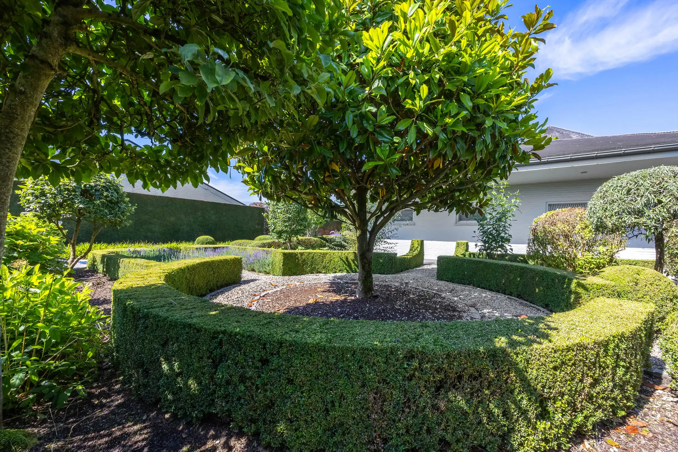 Villa met potentieel in Oostmalle en mogelijkheid tot aankoop achtergelegen weilanden foto 17