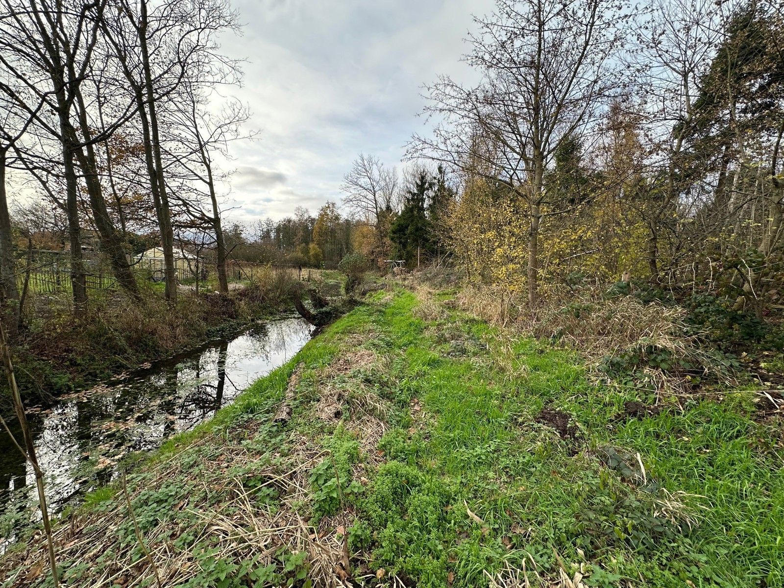 Bosgrond 10.950 m² te HAACHT foto 13