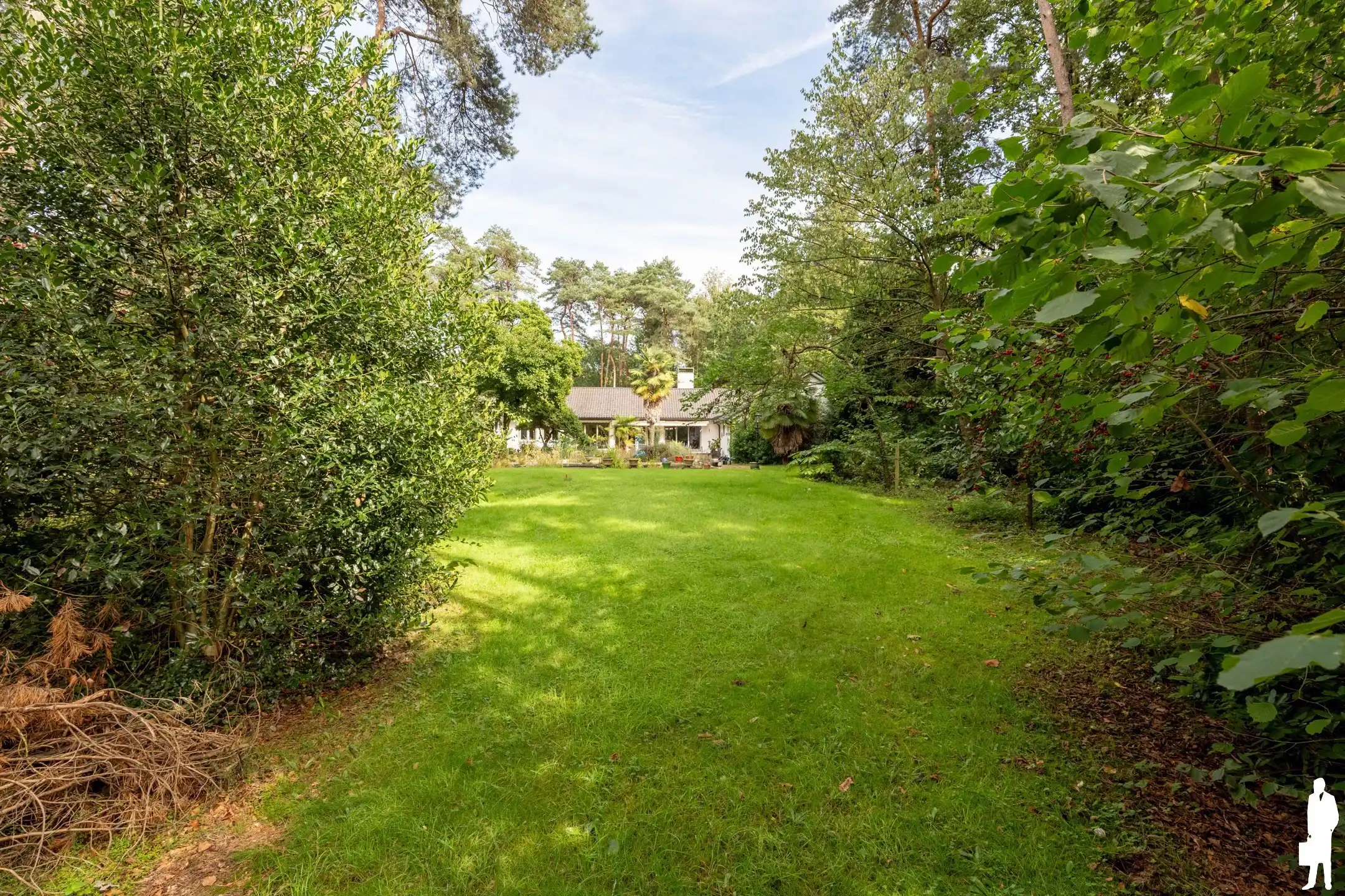 Uitzonderlijk perceel van 8.300 m² met af te breken woning foto 6