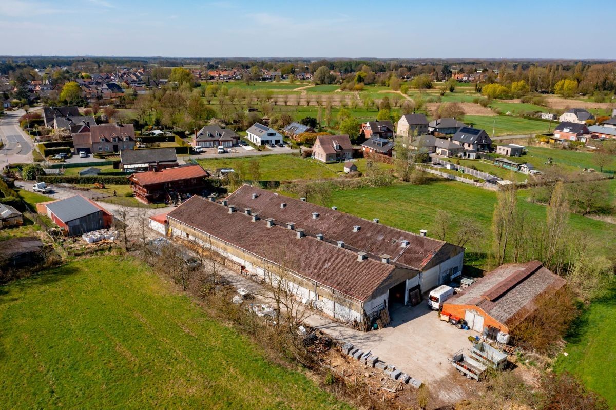 Hoeve met woning, ruime stallen en aanpalende grond te koop te Stekene. foto 12
