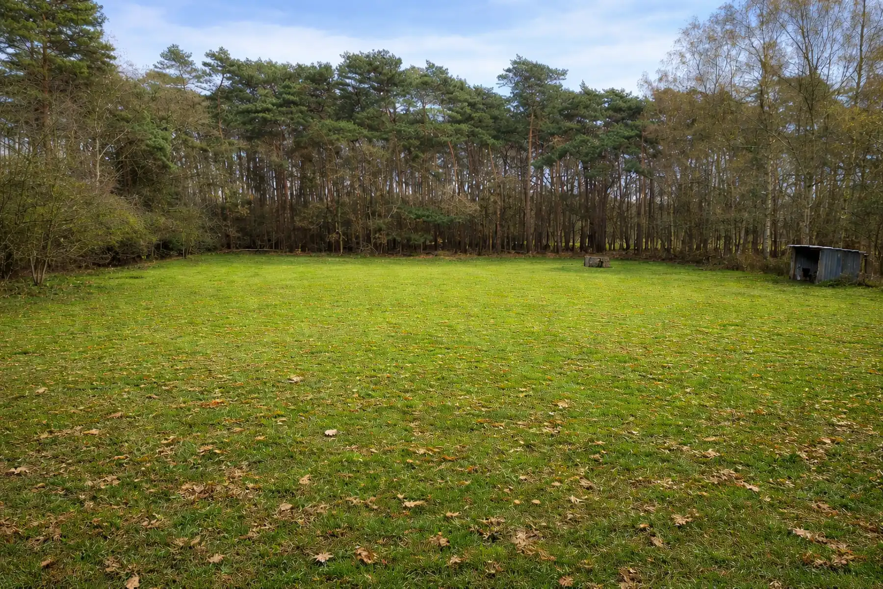 Prachtig weiland in bosgebied te Halle-Zoersel. foto 2