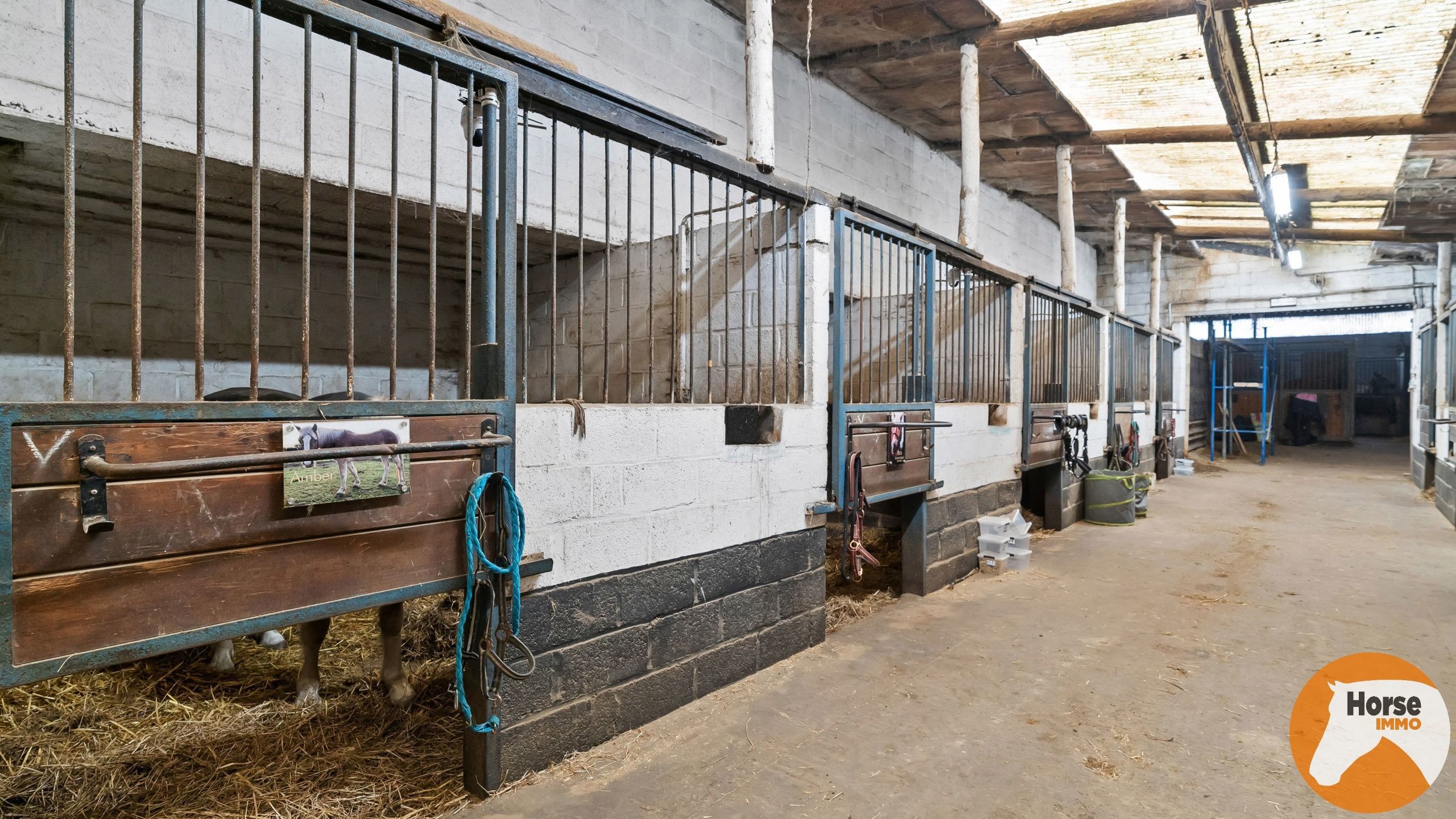 HASSELT (Kortessem) - Manege met veel potentieel! foto 7