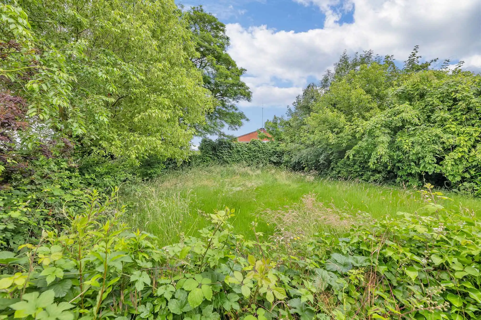 Te renoveren woning op landelijke toplocatie foto 30