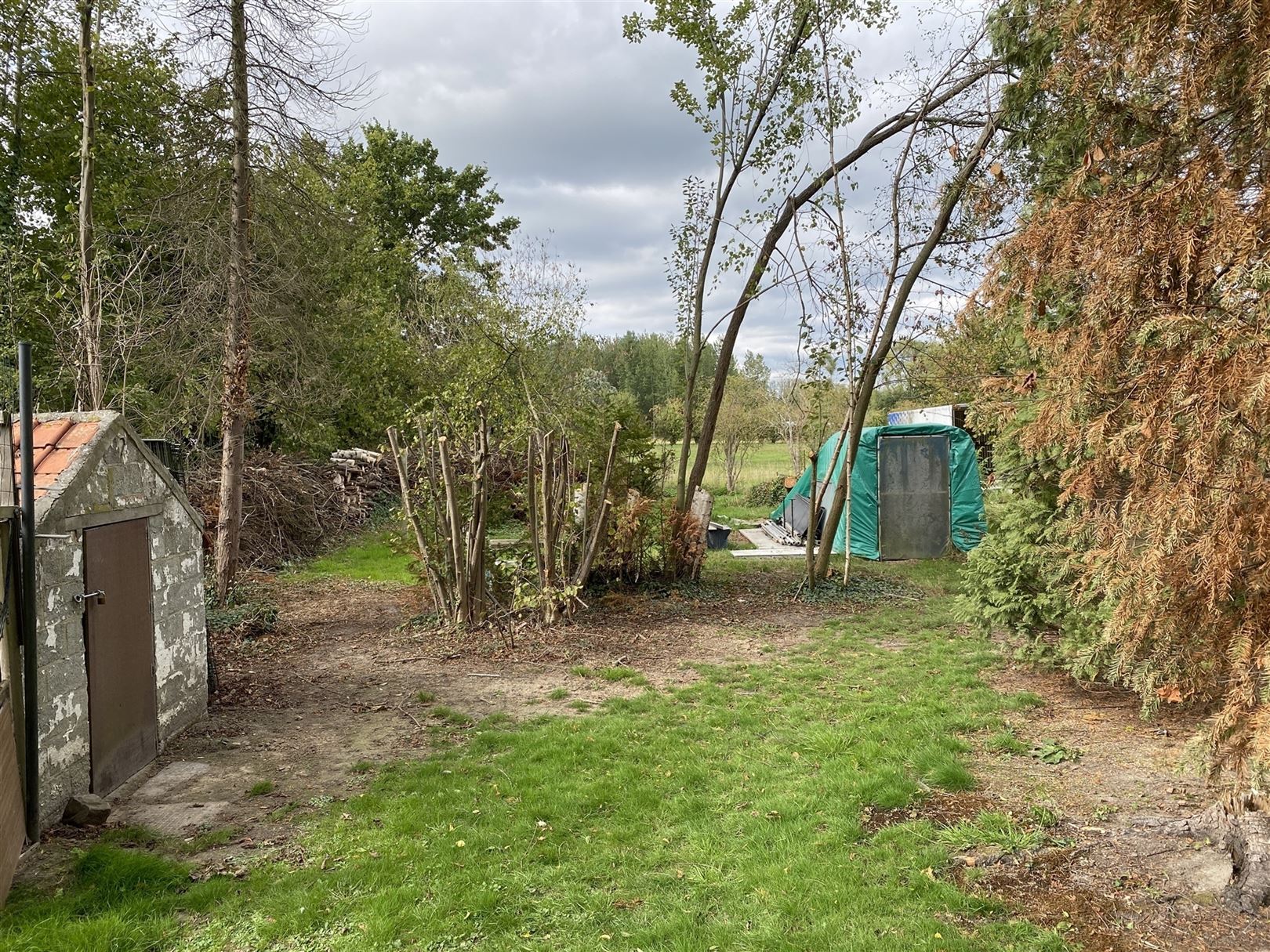 Huis foto 39