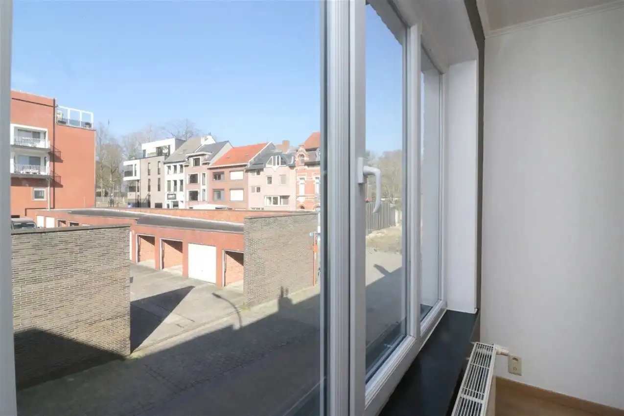 charmant, ruim, mogelijkheid beroep of kangoeroe foto 47